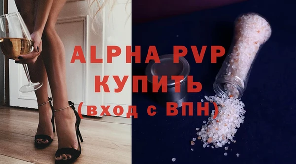 стаф Алексин