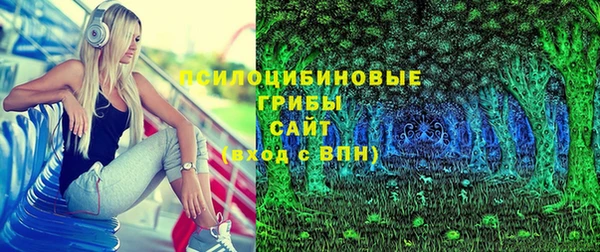 стаф Алексин