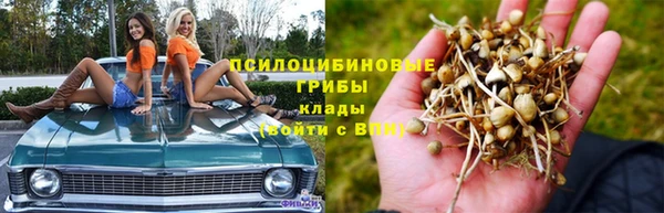 стаф Алексин