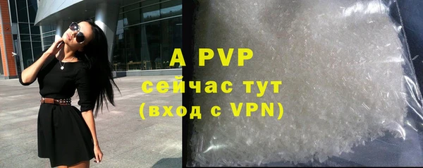 стаф Алексин