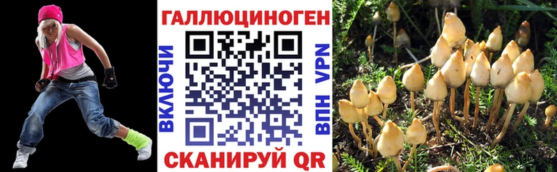 Галлюциногенные грибы Cubensis  Полевской 