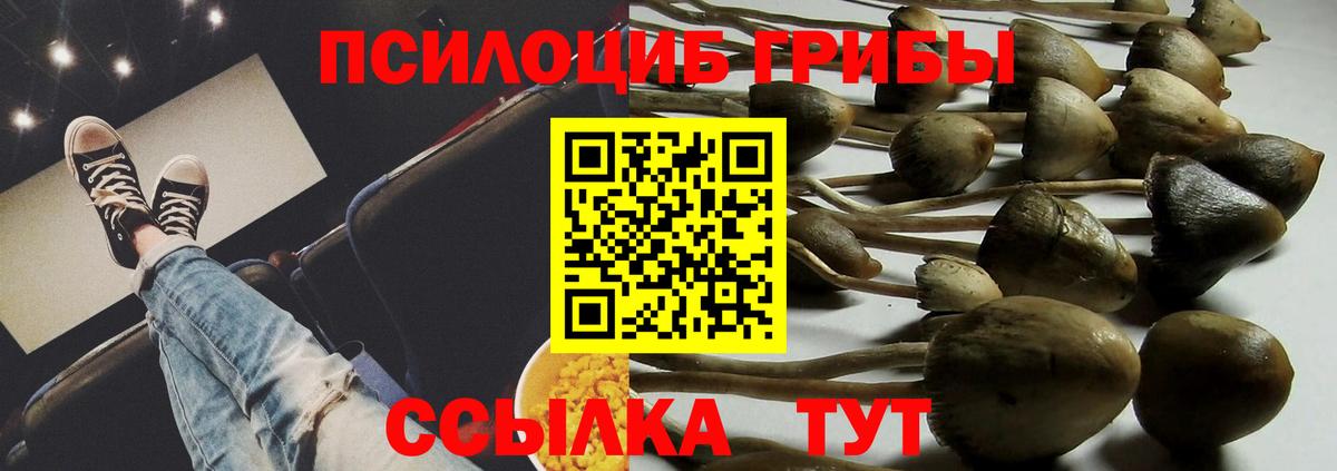 Полевской  Псилоцибиновые грибы Psilocybe  Вход с VPN  Псилоцибиновые грибы прущие грибы 
