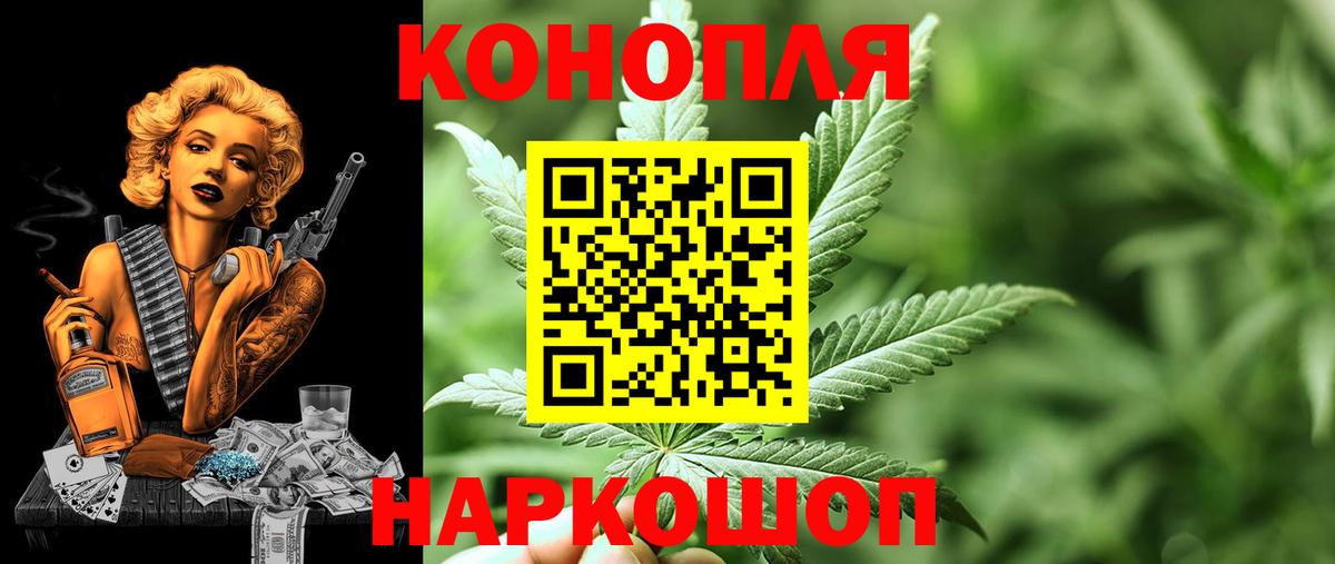 Конопля сатива Полевской